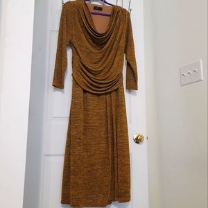 IGIGI sz12 Ruched Copper swing dress
